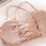 Women Ribbed Padded Bra for Women, Crop Top Soft Stretch & Comfortable Fit
