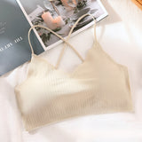Women Ribbed Padded Bra for Women, Crop Top Soft Stretch & Comfortable Fit